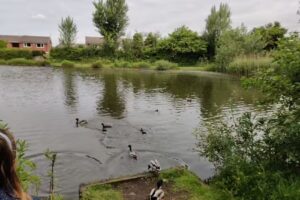 Ackers Pit Warrington Anglers Association