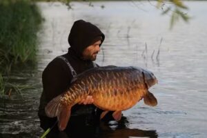 Active Bait Solutions