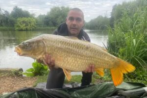Alcove Syndicate Carp Fishery