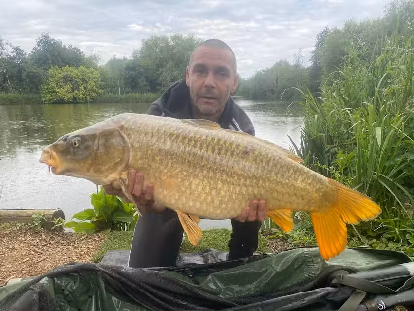 Alcove Syndicate Carp Fishery