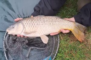 Aldercar Lane Fishery