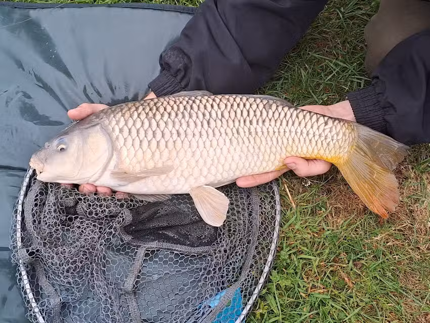Aldercar Lane Fishery