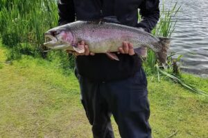 Allandale Tarn Fisheries