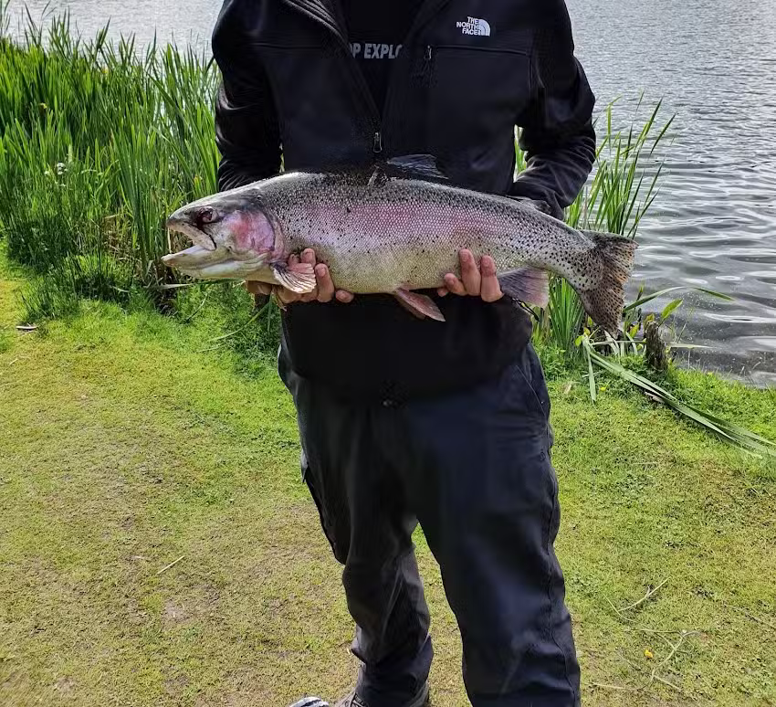 Allandale Tarn Fisheries