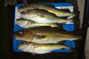 Amble Angling Centre