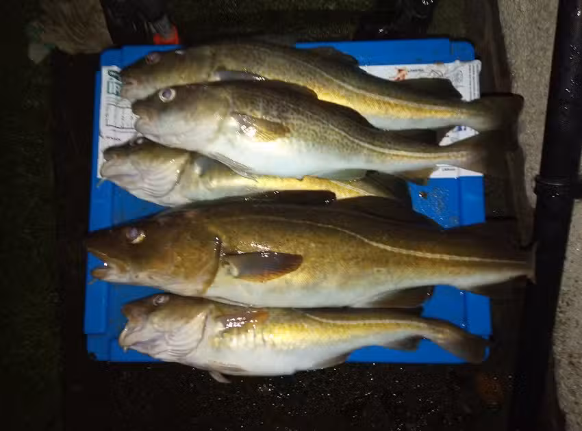 Amble Angling Centre