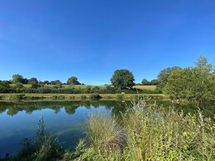 Amport Trout Fishery