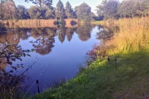 Anglers Paradise, Specimen Carp Lake
