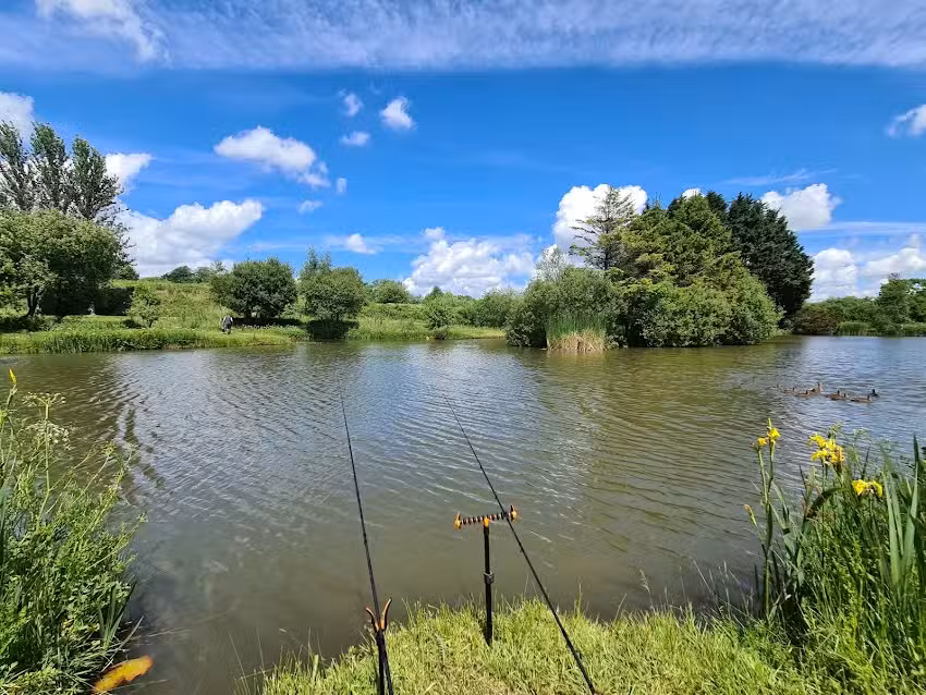 Anglers Paradise, Tench Lake