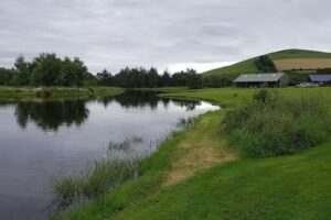 Artloch Fishery