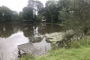 Ashdown Forest Fly Fishery