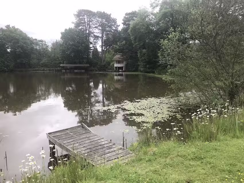 Ashdown Forest Fly Fishery