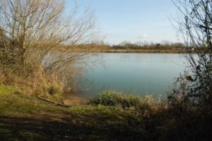 Aspen Lake Fishery (Ashton Keynes)