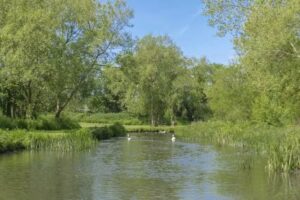 Avon Springs Fishing Lakes