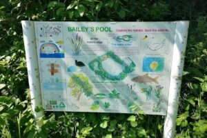 Baileys Fishing Club