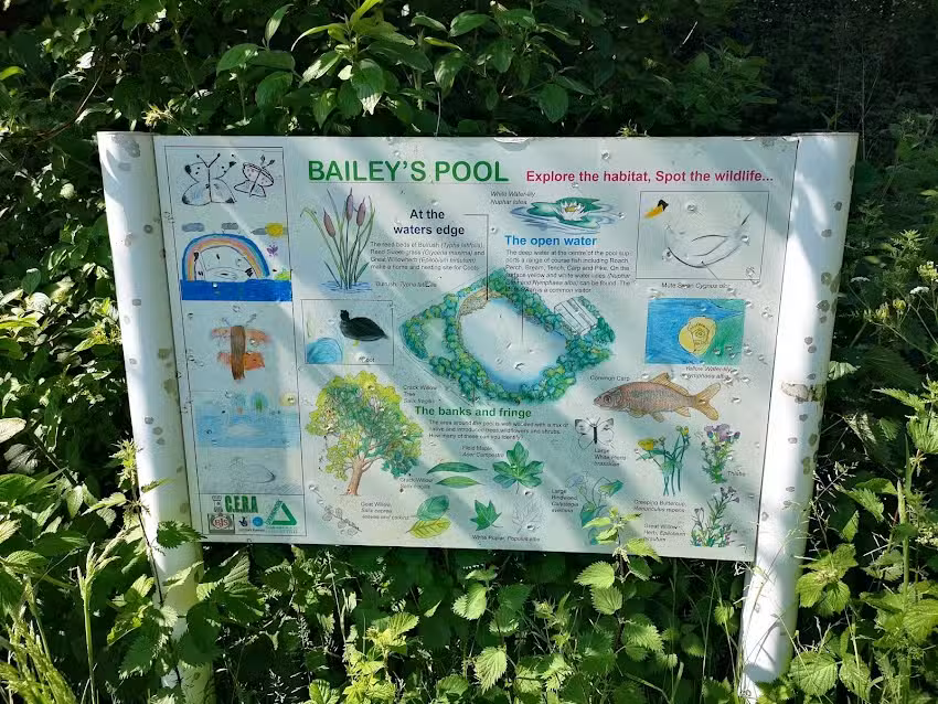 Baileys Fishing Club