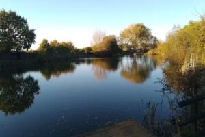 Bakers Puddle fisheries