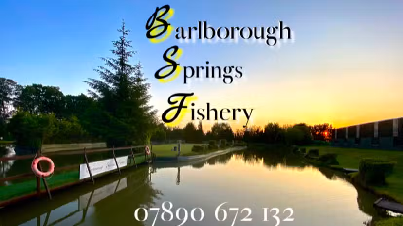 Barlborough Springs Fishery