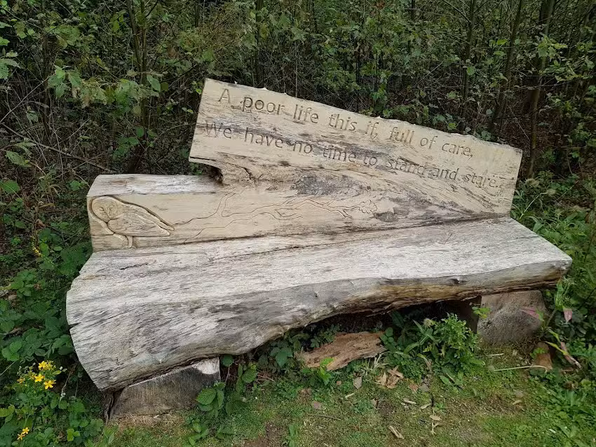 Barlow Common Fishing Pond CLOSED