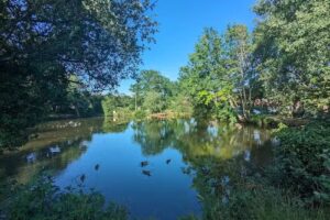 Beare Green Angling Club