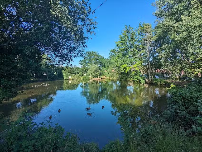 Beare Green Angling Club