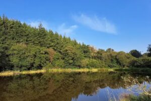 Bellbrook Carp Fishery