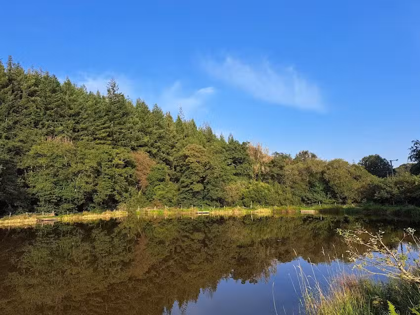 Bellbrook Carp Fishery