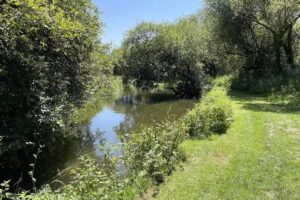 Bickton Estate Fly Fishing Club