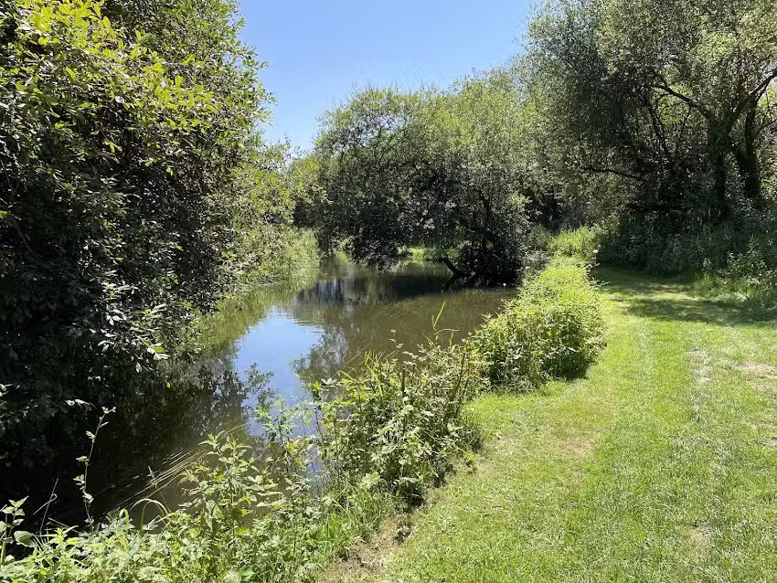 Bickton Estate Fly Fishing Club