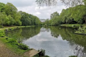 Bierley Woods Fishing Pond