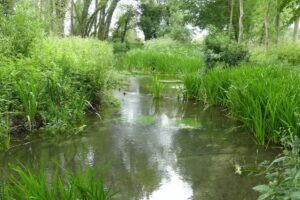 Blue Zulu Fly Fishing