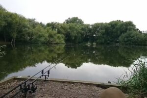 Bolton ponds fisheries