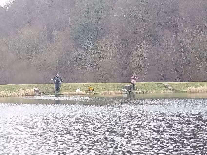 Bowden Springs Fishery