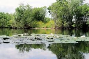 Brightlingsea Fisheries