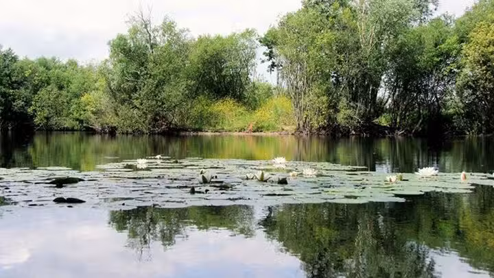 Brightlingsea Fisheries