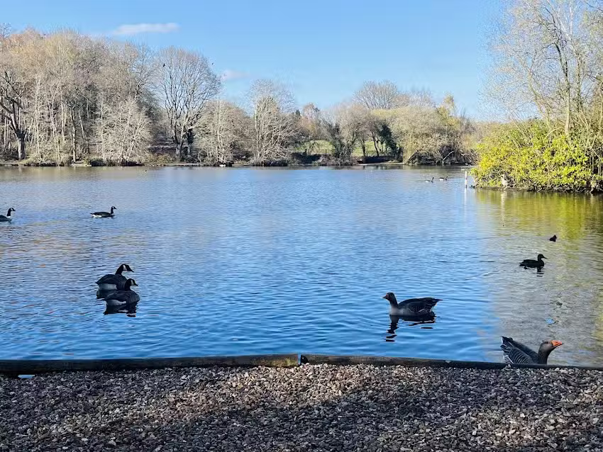 Britten&rsquo;s Pond