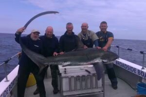 Broadside Boat Charter