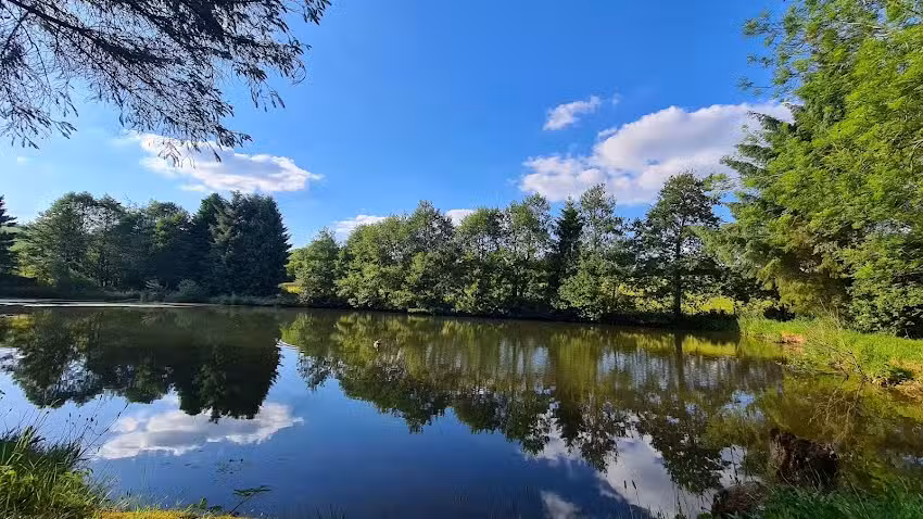 Bromdon Fishing Pools