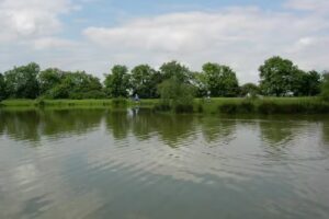 Brook Farm Fishery