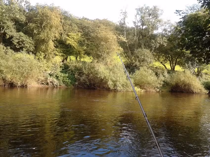 Burt’s Fishing Lodge