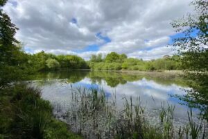 Bury District Angling Society