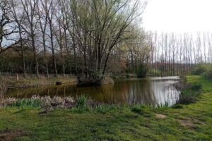 Butlers Hill Fishery