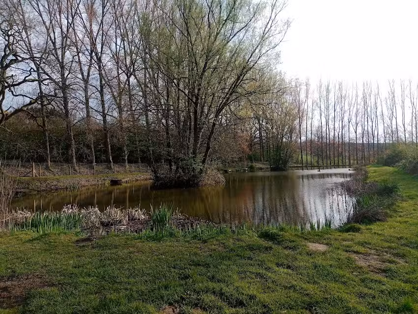 Butlers Hill Fishery