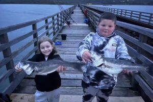 Caernarfon Angling North Wales 🏴󠁧󠁢󠁷󠁬󠁳󠁿