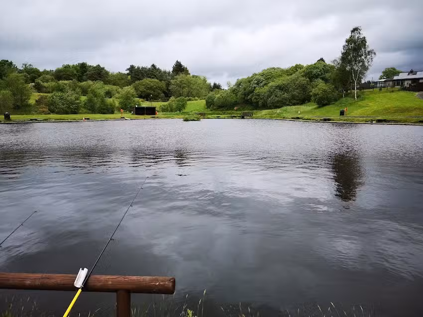 Carbeth Fishery & Cafe
