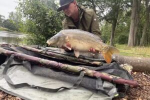 Carp Fishery Effingham