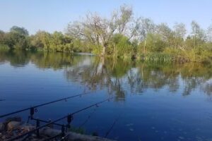 Carpvale Doubles