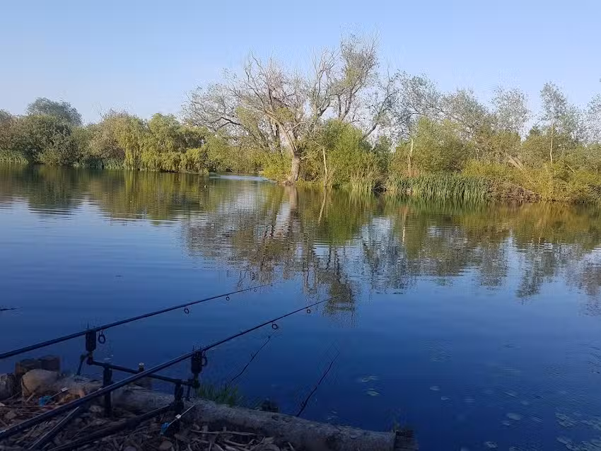 Carpvale Doubles