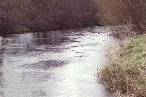Carrick Angling Club