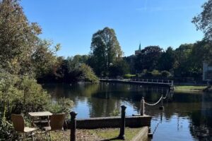 Carshalton Ponds